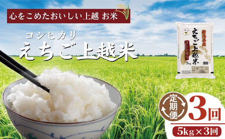 【えちご上越米】令和7年産 新潟県上越産 コシヒカリ 5kg×3回 15kg 定期便 精米 こしひかり JAえちご上越