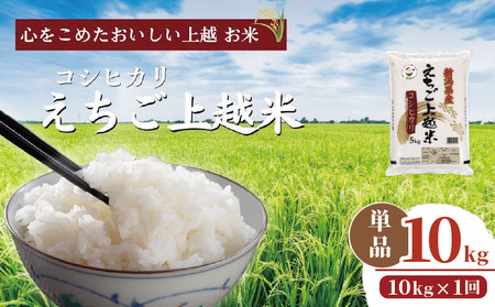 【えちご上越米】令和7年産 新潟県上越産 コシヒカリ 10kg 精米 こしひかり JAえちご上越