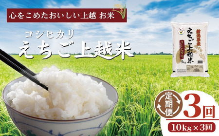 【えちご上越米】令和7年産 新潟県上越産 コシヒカリ 10kg×3回 30kg 定期便 精米 こしひかり JAえちご上越