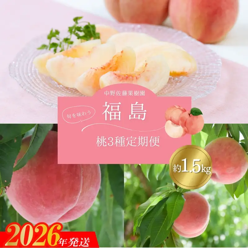 No.2969中野/佐藤果樹園 福島の桃３種定期便 各約1.5kg【2026年発送】