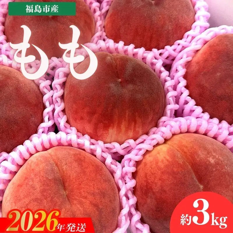 No.3061 道の駅ふくしま 福島市産もも　約3kg（9玉～12玉）【2026年発送】