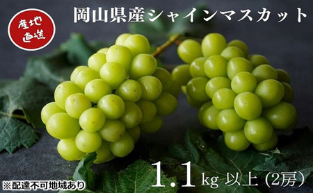 厳選 シャインマスカット 2房 合計1.1kg以上 産地直送 朝採れ ぶどう 葡萄 Kawahara Green Farm 岡山県産 2026年 先行予約