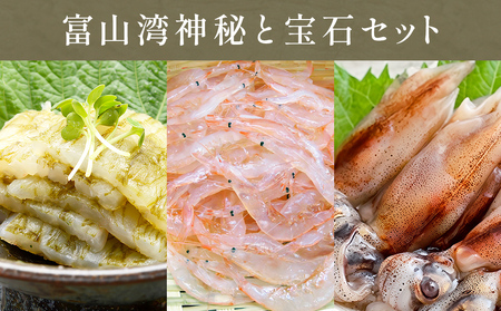 富山湾の神秘”ほたるいか”と富山湾の宝石”白エビ”セット〈冷凍〉