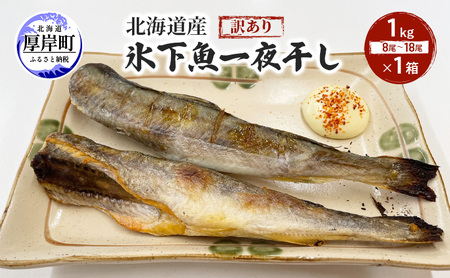 北海道産 訳あり 氷下魚 一夜干し 1kg こまい コマイ 魚 魚介類  白身魚 干物 ひもの 北海道 厚岸町