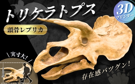 【トリケラトプス】 原寸大 頭骨レプリカ / レプリカ 標本 コレクション プラモデル 実物大 恐竜 骨格レプリカ フィギュア インテリア 展示 模型 博物館 骨格 頭蓋骨 オブジェ 3Dプリント 【anf007】