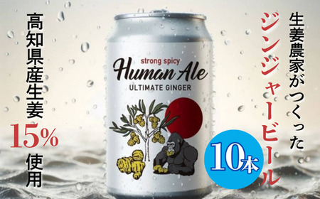 ジンジャービール 350ml 10本セット 【 高知県 生姜 ビール 缶ビール セット 】