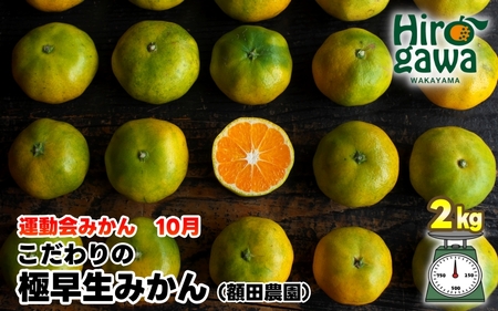 【先行予約】極早生 みかん 家庭用 2kg / 極早生みかん 温州みかん 甘い 家庭用 和歌山 柑橘 ※2026年10月上旬～11月上旬順次発送 ※北海道・沖縄・離島への配送不可 【nuk003-r-2】
