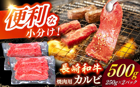 長崎和牛（A4ランク以上）カルビ焼肉用500g [RCE017]