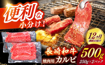 【全12回定期便】 長崎和牛（A4ランク以上）カルビ焼肉用500g [RCE020]