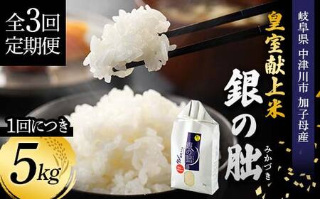 ＜テレビで紹介されました！＞令和7年度 【全3回定期便】皇室献上米『銀の朏』5kg 中津川市加子母産 栽培期間中化学肥料不使用 お米 精米 F4N-1869