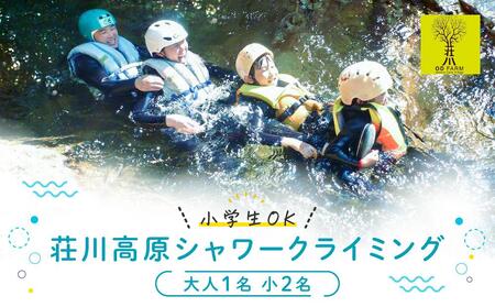 OD-FARM荘川【小学生OK】荘川高原ファミリーシャワークライミング 大人1名、小人2名  | 川 滝 遊び 体験 夏 思い出 子供 親子 家族 飛騨高山 (株)アウトドアサポートシステム  AB003