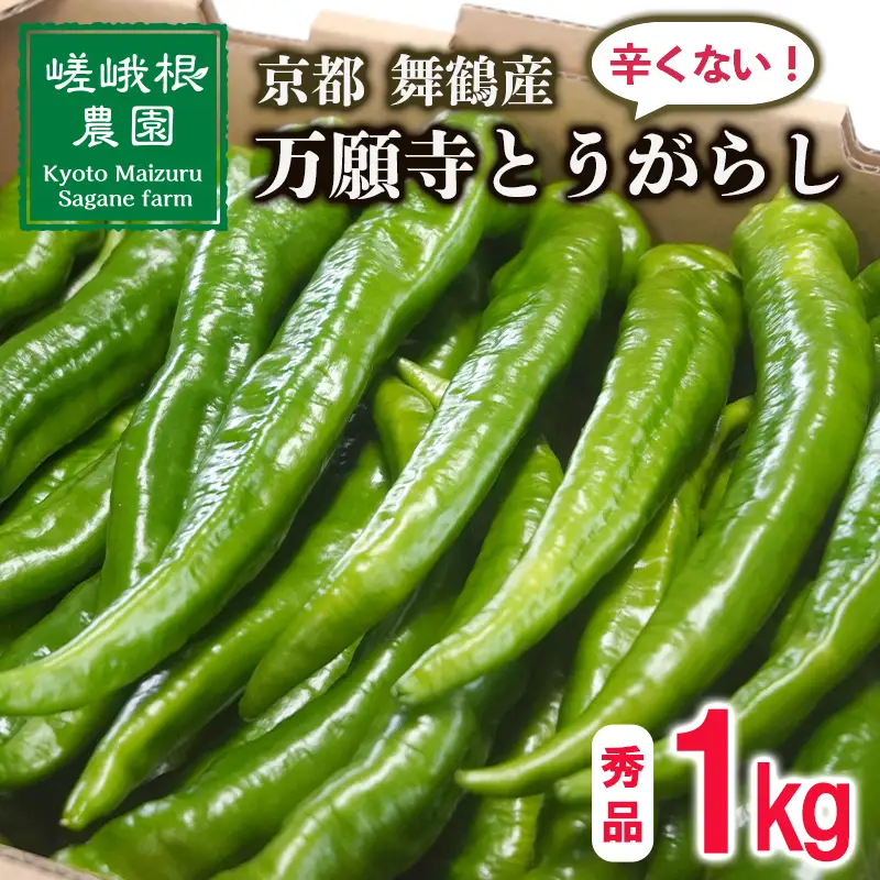 【5月中旬～11月下旬発送】 万願寺とうがらし 秀品 1kg 