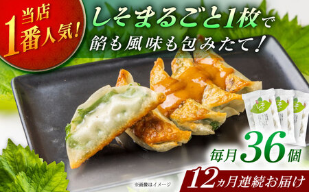 【全12回定期便】【3パック】餃子屋ヒロの 人気のしそ餃子 ぎょうざ[BDAS012]