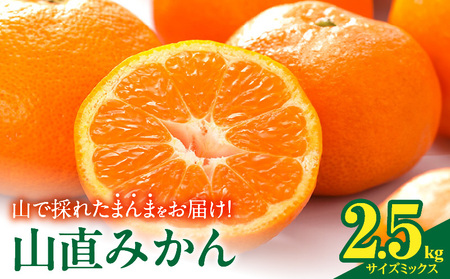 MK1037_【2026年先行予約】みかん 山から直送 箱込 2.5kg ( 内容量 2.3kg ) 鮮度優先ごろごろ規格 和歌山県産 産地直送 【みかんの会】
