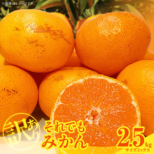 MK1048_【2026年先行予約】訳あり それでも みかん 箱込 2.5kg ( 内容量 2.3kg ) サイズミックス Ｂ品 有田みかん 和歌山県産 産地直送 家庭用【みかんの会】
