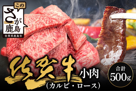 【訳あり】佐賀牛 焼肉 セット 小肉 500g ( カルビ ロース ) 黒毛和牛 詰め合わせ 焼肉セット B-840