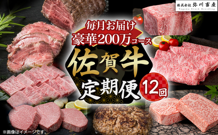 佐賀牛 極上！12回定期便 佐賀牛 ブランド牛 国産牛 牛肉 肉 定期便 佐賀県 太良町 ZAP1