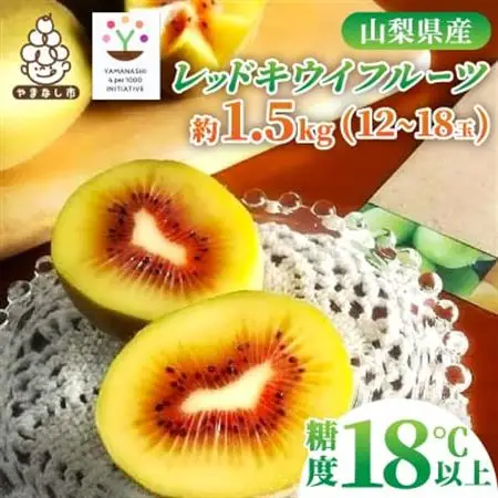 【2026発送】レッドキウイフルーツ化粧箱入り　産地直送約1.5kg(12～18玉)【配送不可地域：離島】【1178165】