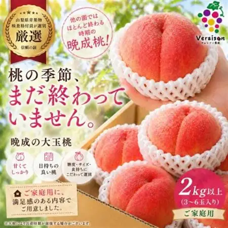 【2026発送予定】晩生大玉桃|甘くて日持ち◎農家直送2kg以上(3～6玉入り)【配送不可地域：離島】【1178180】