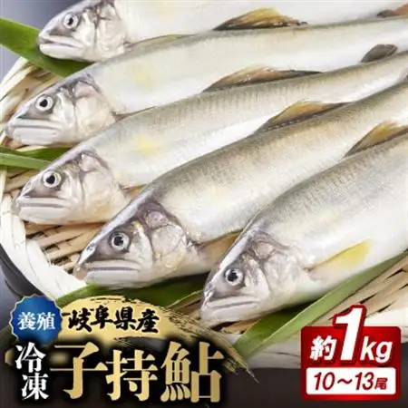 岐阜の鮎　冷凍子持鮎(約1kg:10～13尾)【配送不可地域：離島】【1617821】