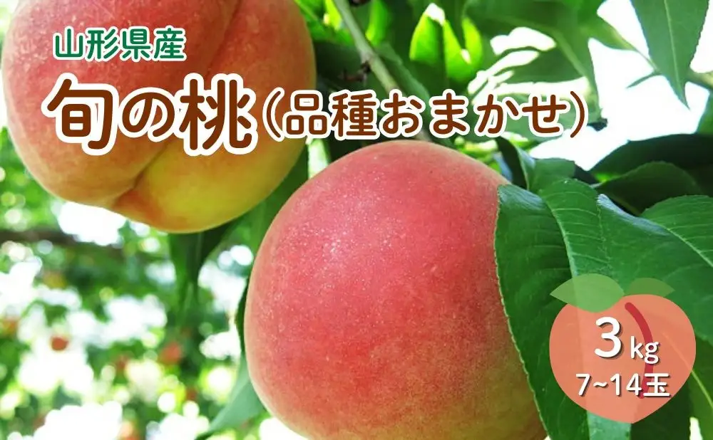 旬の桃（品種おまかせ）３ｋｇ　0075-2604