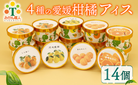 柑橘 アイス 4種 14個 アイス 武田屋