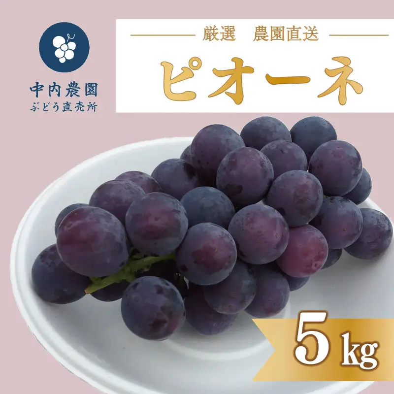 ぶどう ピオーネ 5kg ぶどう 