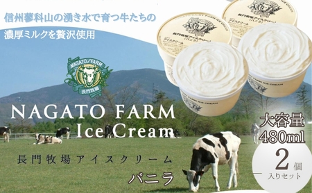 長門牧場アイスクリーム大容量2個セット　贅沢480mlバニラ2個　人気スイーツ　濃厚ミルク　直送　牛乳　生乳　国産　夏ギフト　長野県　贈答品　お土産　お中元　お歳暮　クリスマス
