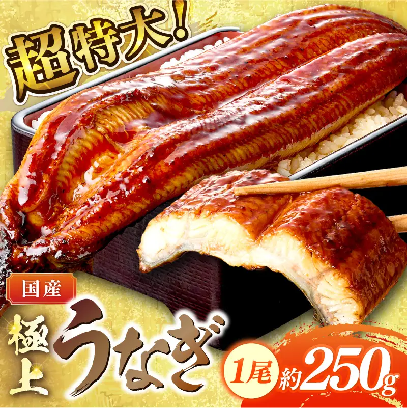 【国産鰻】うなぎ蒲焼き 1尾 250g前後 | うなぎ