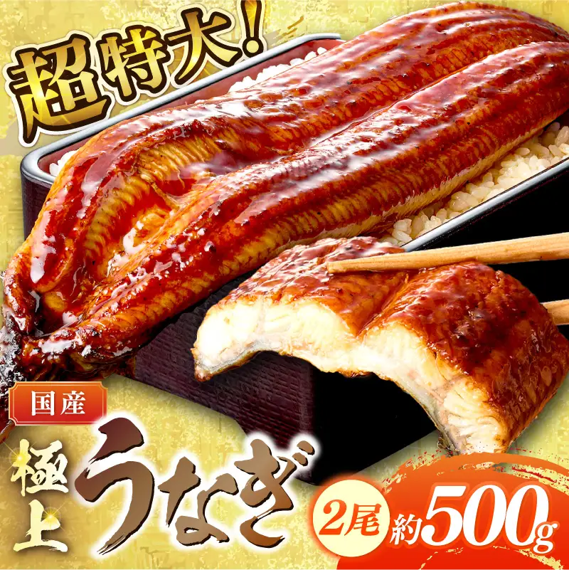 【国産鰻】うなぎ蒲焼き 2尾 合計500g前後 | うなぎ