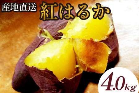 【産地直送】小林市産さつまいも「紅はるか」4kg