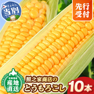 【2026年先行予約】照之家商店 鮮度抜群とうもろこし10本