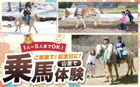 里山で乗馬体験（馬のブラシがけと乗馬でむらをお散歩）1人から5人まで可能【055-12】