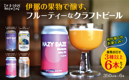 伊那の果物で醸す、フルーティーなクラフトビール6本セット　350mL缶×6本（種類お任せ　3種以上）【017-17】