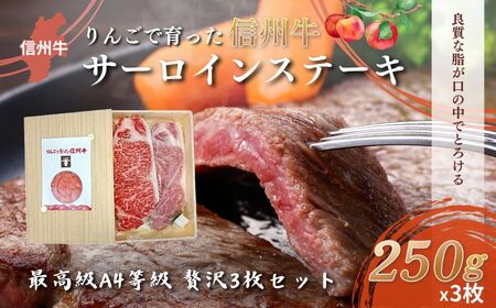父の日 【りんごで育った信州牛】ステーキ用3枚入り【 牛肉 信州牛 サーロインステーキ 黒毛和牛 A4 サーロイン ステーキ 肉 お肉 牛 和牛 焼肉 焼き肉 BBQ バーベキュー ギフト 冷蔵 長野県 長野 】