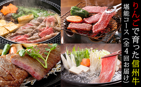 父の日 牛肉 定期便 4ヶ月 りんごで育った 信州牛 堪能コース 黒毛和牛 A5 和牛 肉 定期 4回