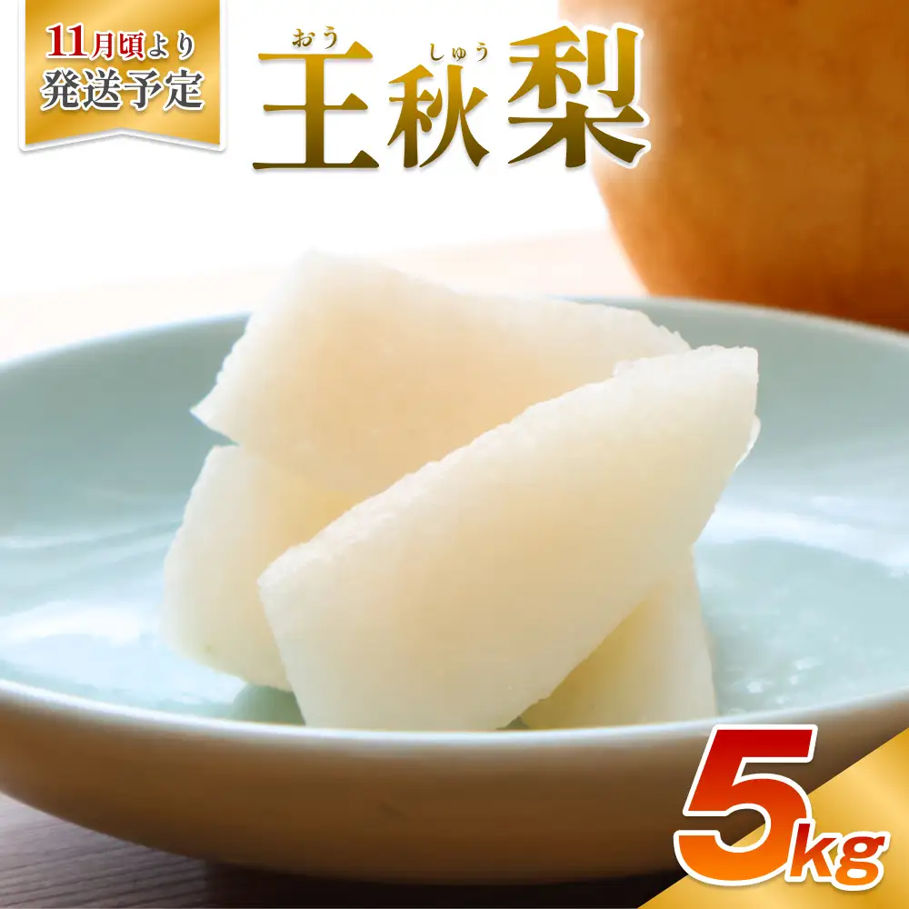 【先行予約】安田農園 梨 ”王秋梨” 5kg箱｜鳥取 岩美 梨 なし ナシ※お届けは2026年11月以降【41029】