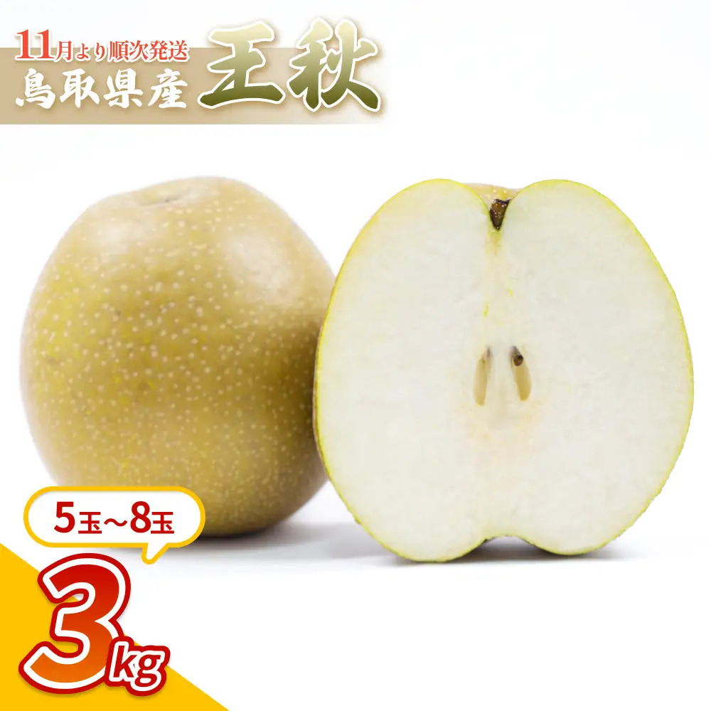 中野農園 梨 ”王秋梨” 3kg箱｜鳥取 岩美 梨 なし ナシ※お届けは2026年11月以降【41016】