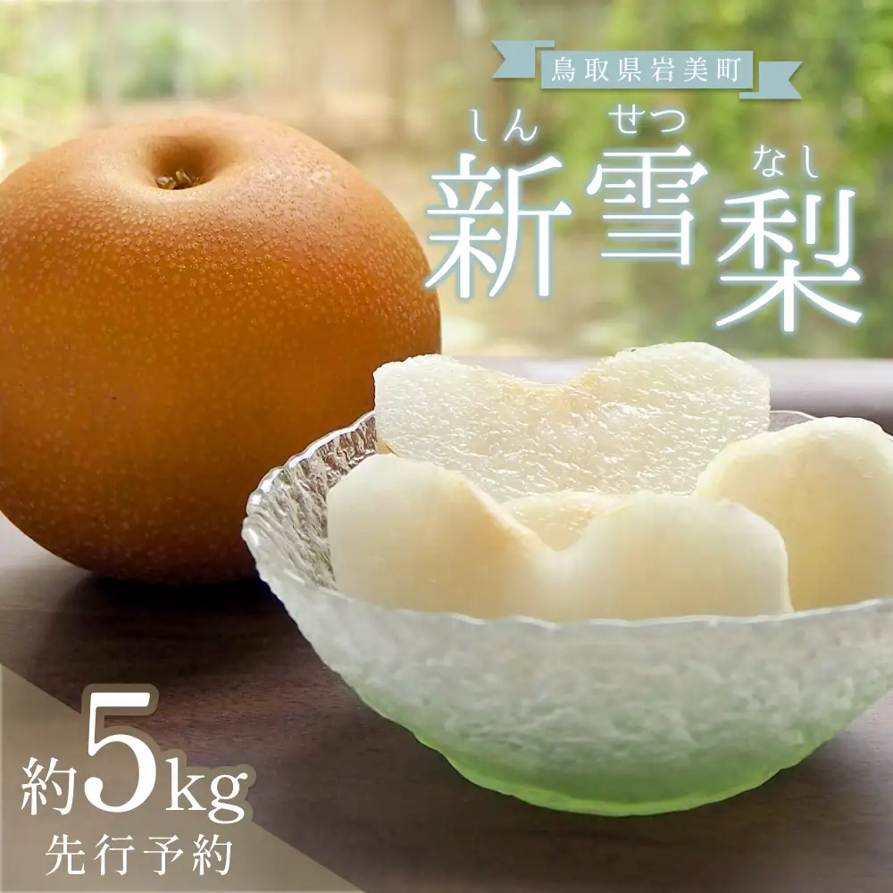 中野農園 梨 ”新雪梨” 5kg箱｜鳥取 岩美 梨 なし ナシ※お届けは2026年12月以降【41023】