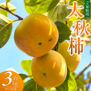 【訳あり品】【10月発送】池尻農園　太秋柿　9～14玉　約3kg　ご家庭用_訳あり品 太秋柿 9～14玉 約3kg ご家庭用 柿 甘柿 フルーツ 果物 スイーツ 甘い 条紋 10月最盛期 完全甘柿 早生品種 大玉 甘みが強い シャキシャキ 種が少ない 子供でも 食べやすい 福岡県 久留米市 送料無料 〔Fk016〕