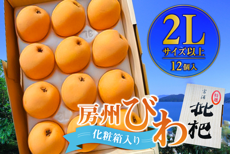 【先行受付 2026年5月中旬～6月下旬発送予定】房州びわ 2Lサイズ以上 12個（化粧箱入） mi0114-0001