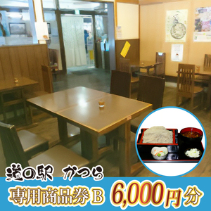 道の駅かつら専用商品券B　6,000円分(500円×12枚のセット) (AF008)