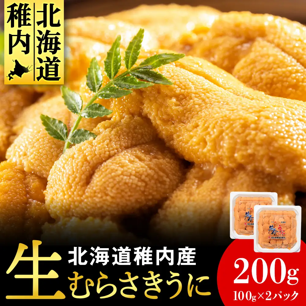 【期間限定】稚内の厳選ムラサキウニ 生パック 獲れたて即日発送!100g×2パック
