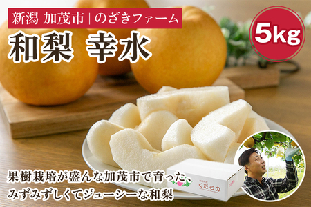 【2025年先行予約】新潟県加茂市産 和梨 幸水5kg（9～16玉）〈8月上旬～順次出荷〉こうすい