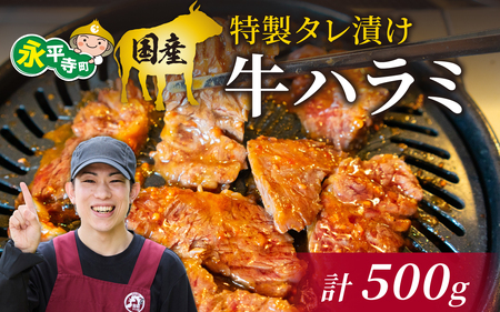 国産 特製タレ漬け牛ハラミ 250gx2パック (計500ｇ)[B-019007]