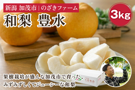 【2025年先行予約】新潟県加茂市産 和梨 豊水3kg（5～9玉）〈9月上旬～順次出荷〉ほうすい