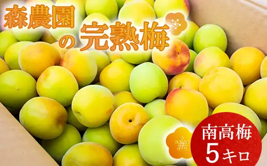 梅 南高梅 完熟梅 5キロ 完熟 予約 梅干 梅干し用 ナンコウウメ 数量限定 先行予約 農家直送 ／ 森農園の完熟梅(南高梅) 5kg ＜162-003＞