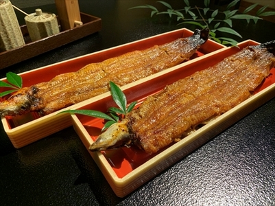 うなぎ辻判 国産鰻炭火蒲焼き 2尾 各約160g 〈有頭・冷凍〉 うなぎ 鰻