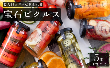 ピクルス 5本 おまかせセット ピクルス ピクルス ピクルス ピクルス ピクルス LM001