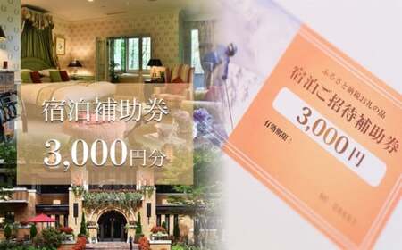 長野県白馬村 宿泊補助券3,000円分(3,000円分×1枚)